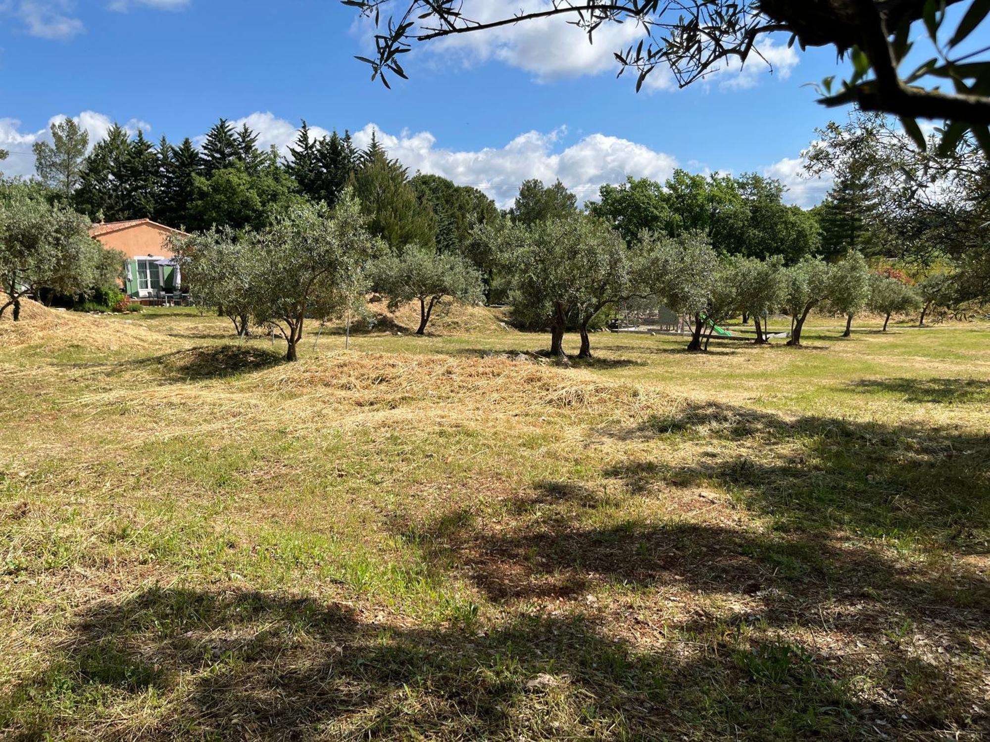 Gite Le Mas Des Oliviers Draguignan Exterior photo